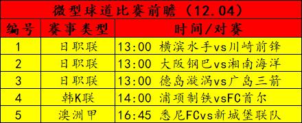 独特分析：函数6大主因素与赛事方向关系精解出炉