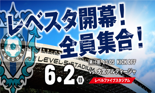 福冈黄蜂vs大宫松鼠  松鼠恐被黄蜂蛰伤