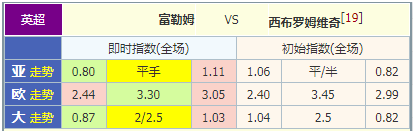 富勒姆vs西布罗姆维奇 升班马竞技必分胜负