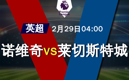 诺维奇vs莱切斯特城 诺维奇为保级全力战斗