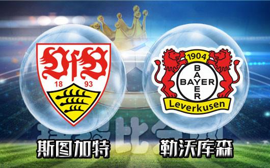 斯图加特vs勒沃库森 斯图加特要靠主场和药厂周旋