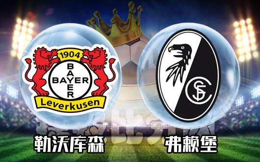 勒沃库森vs弗赖堡 勒沃库森反弹还需等待