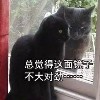 乐球体育官方网站图片