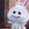 乐球体育官方网站图片